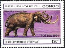 Mammoth (Pleistocene)