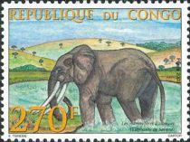 African Bush Elephant (Loxodonta africana africana)