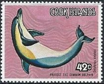 Common Dolphin (Delphinus delphis)