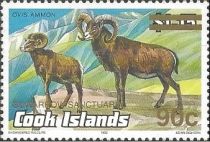 Argali (Ovis ammon ammon)