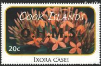 Ixora casei - Gold Overprint