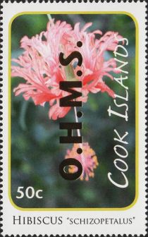 Hibiscus schizopetalus - Gold Overprint