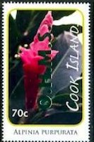 Alpinia purpurata - Green Overprint