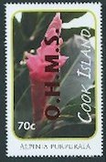 Alpinia purpurata - Red Overprint