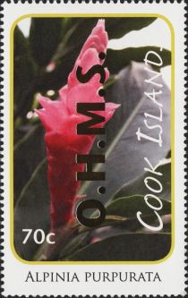 Alpinia purpurata - Gold Overprint