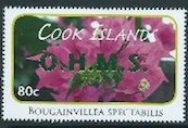 Bougainvillea spectabilis - Green Overprint