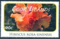 Hibiscus rosa-sinensis