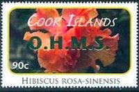 Hibiscus rosa-sinensis - Green Overprint