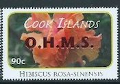 Hibiscus rosa-sinensis - Red Overprint