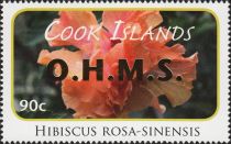 Hibiscus rosa-sinensis - Gold Overprint