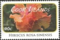 Hibiscus rosa-sinensis