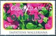 Impatiens walleriana - Green Overprint