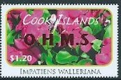 Impatiens walleriana - Red Overprint