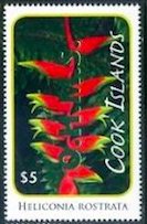 Heliconia rostrata - Green Overprint