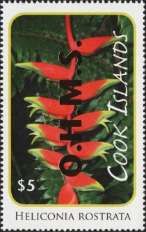 Heliconia rostrata - Gold Overprint