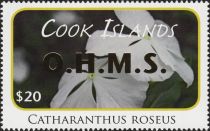 Catharanthus roseus - OHMS Overprint