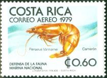 Whiteleg Shrimp (Penaeus vannamei)