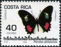 Iphidamas Cattleheart (Parides iphidamas)