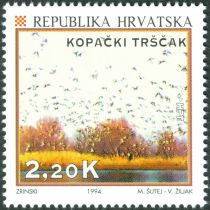 Nature Park Kopački Rit (Kopački Tršćak)