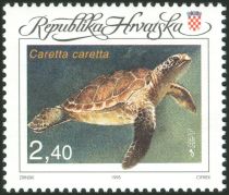 Loggerhead Sea Turtle (Caretta caretta)