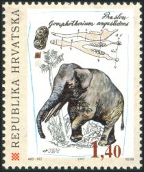 Gomphotherium (Gomphoterium angustidens)