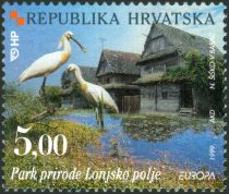 Nature Park Lonjsko Polje Lowlands, Eurasian Spoonbill