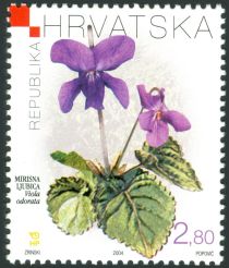 Sweet Violet (Viola odorata)