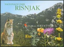 Lynx in Risnjak National Park