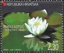 White Waterlily (Nymphaea alba)