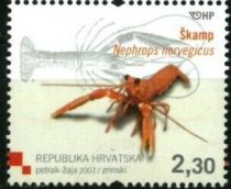 Norway Lobster (Nephrops norvegicus)