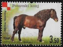 Posavina Horse (Equus ferus caballus)