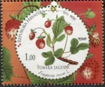 Woodland strawberry (Fragaria vesca)