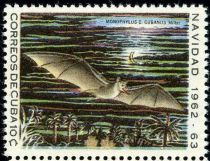 Leach's Single-leaf Bat (Monophyllus c. cubanus)