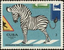 Zebra and Zebrastrip