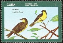 Oriente Warbler (Teretistris fornsi)