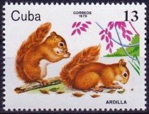 Eurasian Red Squirrel (Sciurus vulgaris)