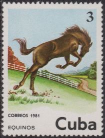 Horse (Equus ferus caballus)