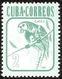 Cuban Parakeet (Aratinga euops)