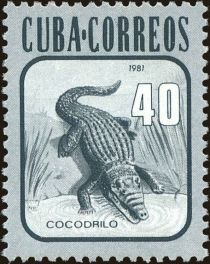 Cuban Crocodile (Crocodylus rhombifer)