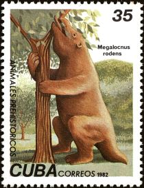 Great Sloth (Megalocnus rodens)