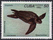 Leatherback Sea Turtle (Dermochelys coriacea)