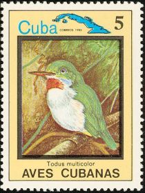 Cuban Tody (Todus multicolor)