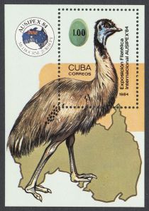 Emu (Dromaius novaehollandiae)