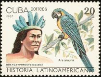 Guaycaypuro Indian of Venezuela