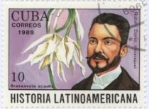 Ruben Dario (1867-1917)