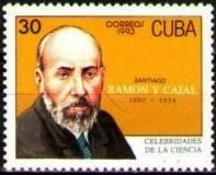 Santiago Ramon y Cajal