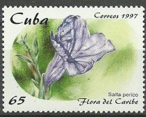 Salta perico (Ruellia tuberosa)