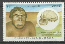 Sinanthropus (Peking man)