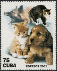 Cats (Felis silvestris catus) & Dogs (Canis lupus familiaris