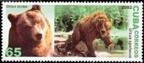 Brown Bear (Ursus arctos), Cave Bear (Ursus spelaeus)